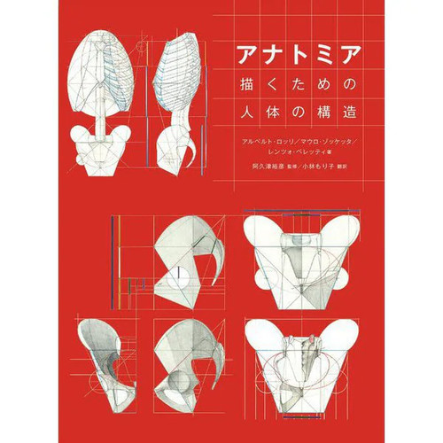 Anatomia human body - human,
