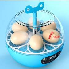 Mini incubatrice per uova - per,