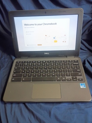 Dell chromebook 3100 - 3100, non