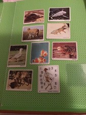 PANINI 1970 THE WORLD OF