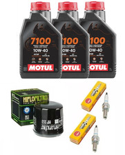 TAGLIANDO BENELLI TRK 502 X