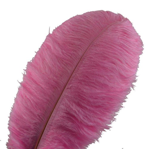 Piume struzzo sowder 10 - struzzo,