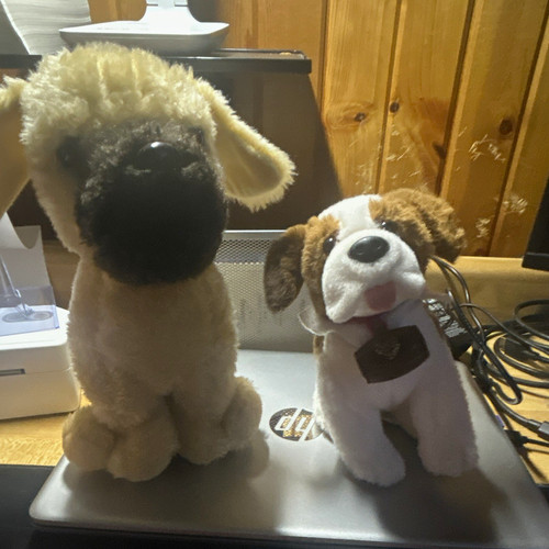 Peluche cani lotto - di,