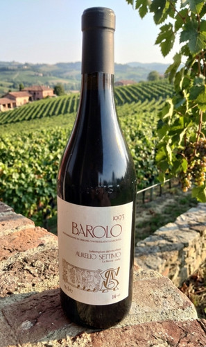 Barolo 1993 aurelio settimo - barolo,