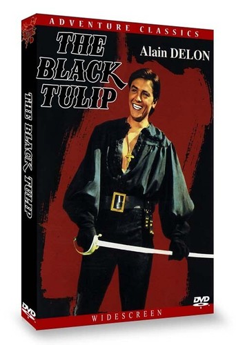 The black tulip 1964 - tulip,