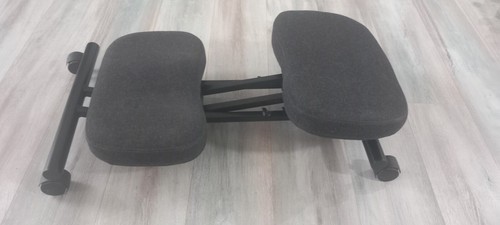 Sedia ergonomica