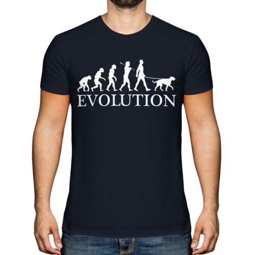 Scozzese levriero evolution - scozzese,