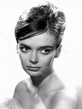 Barbara Steele (2)  Attrice
