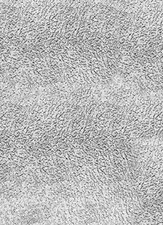 464721 Lamiera Bugnata, Tipo