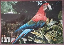 ROMA - GIARDINO ZOOLOGICO -