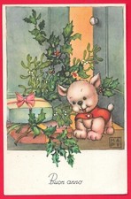 MA PI  MARIA PIA ILLUSTRATORE