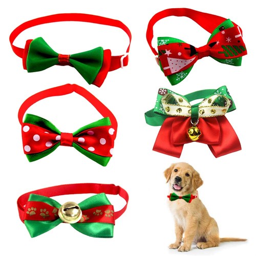 Set papillon cane - di,