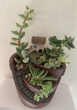 Composizione Vasetto Con Casetta E Piante Grasse Vario Tipo