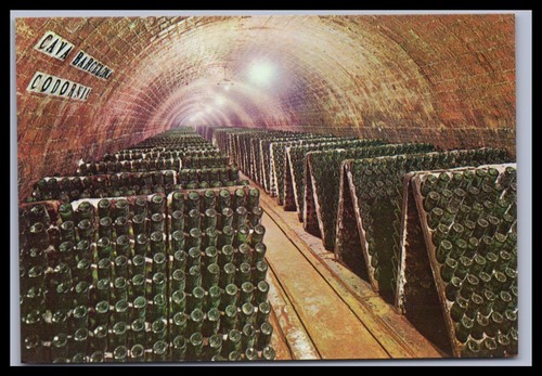 Cartolina cavas codorniu - cartolina,