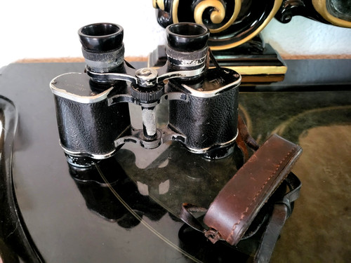 Binocolo kern alpin lux - alpin, x