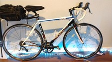 Fuji SL Comp Bicycle Carbon