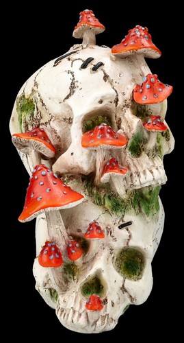 Figura teschio - teschio,