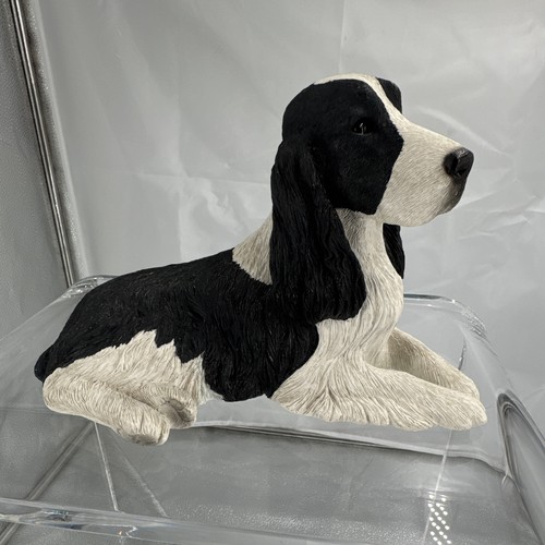 Springer spaniel vintage - springer, 1987