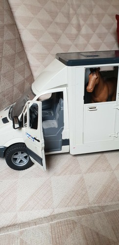 Camion trasporto cavallo della - camion,