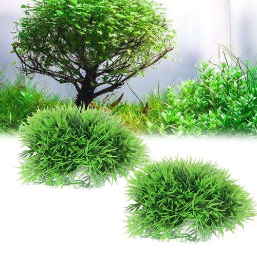 2pz acqua artificiale erba - 2pz,