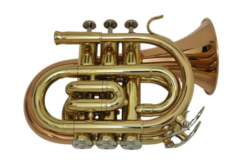 Roy benson tromba - roy, pocket