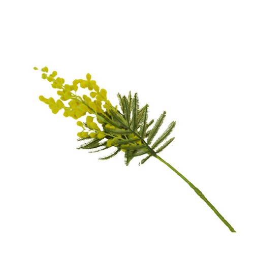 Ramo mimosa fiori - ramo, 54
