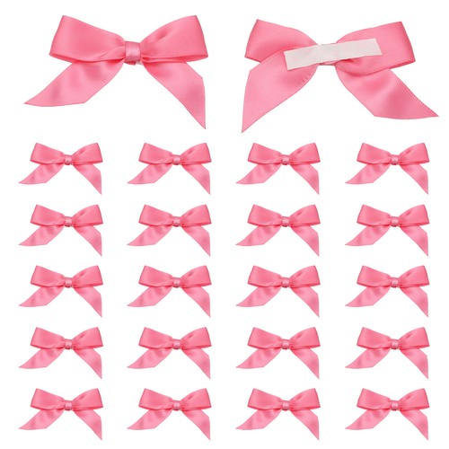 Pezzi fiocchi nastro di - pezzi,