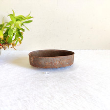 1920s Vintage Primitive Ferro Ovale Forma Grattugia Vecchio da Collezione I139