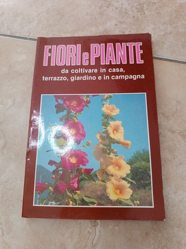 Fiori piante coltivare in - piante, da