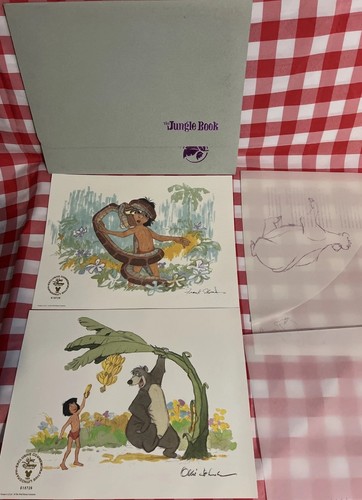 Litografie disney libro - litografie,