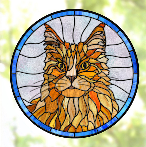 Arancione main coon gatto - arancione,