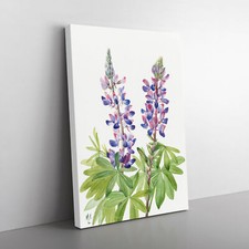Quadro con cornice Lupine by