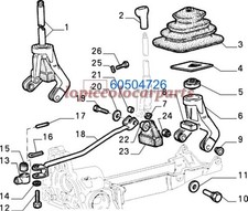 60504726 Rosetta Piana Leva