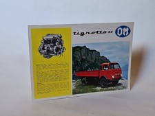 Tigrotto vintage - om,