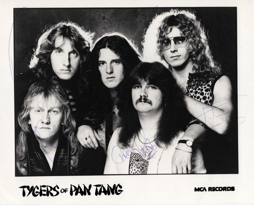 Tygers pan tang - pan, foto