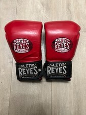 Guanti Cleto Reyes Sparring