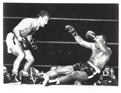 Rocky marciano jersey joe - ko's,