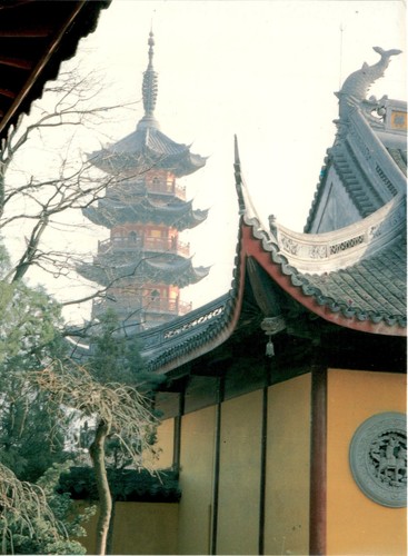 Tempio longhua 2002 - tempio,