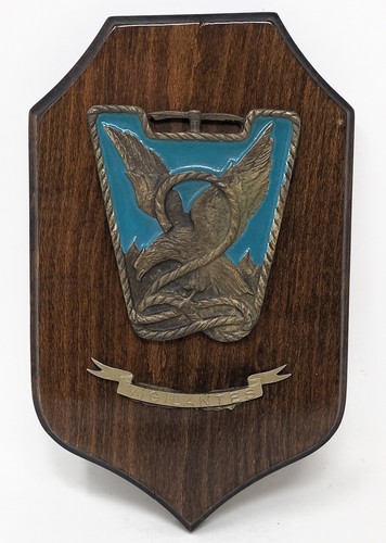 Crest reggimento alpini - -,