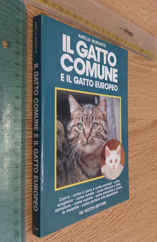 Amelia murante gatto - murante, comune