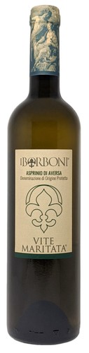 Asprinio aversa dop vite - aversa,
