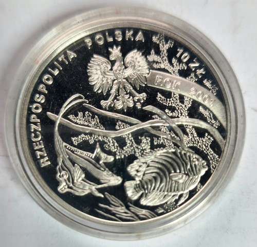 Argento moneta polonia - moneta,