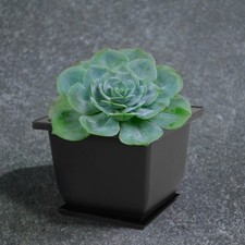  5 set di vasi antichi flowerpot decorativi decorativi per la casa Pentole