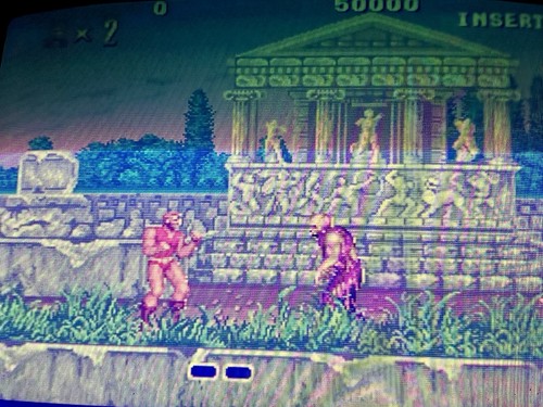 Scheda jamma altered beast - scheda,
