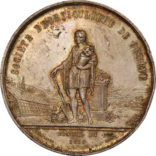 62219 svizzera medaglia - [#62219],