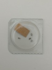 Rolex 2130-7240-Tenone della bascula-5 Pezzi