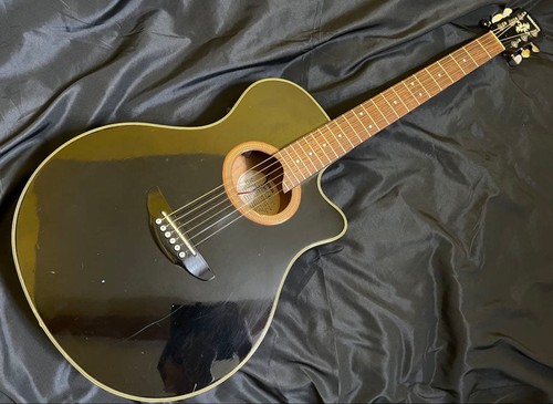 Chitarra acustica elettrica