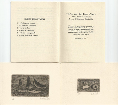 Giuseppe viviani incisioni - giuseppe,