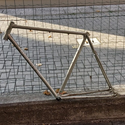 Bianchi telaio nudo - 🚲,