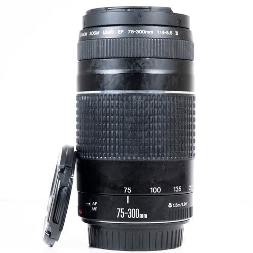 Canon 300 0 5 - canon, f/4.0-5.6